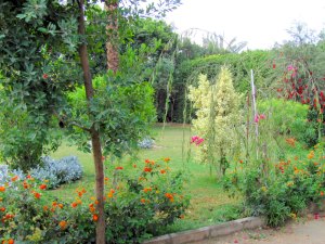 Garten Grundstck der Villa in Giseh