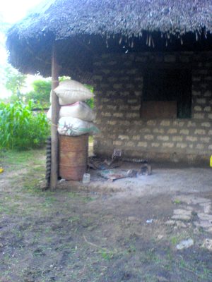 Ausbauhaus mit Grundstck bei Diani Beach