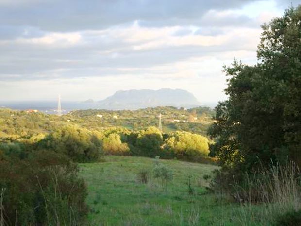 Baugrundst�ck auf Sardinien f�r Haus oder Villa