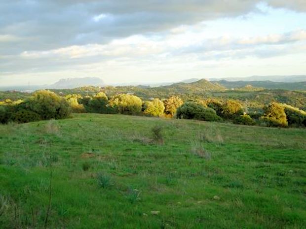 Baugrundst�ck bei Telti auf Sardinien
