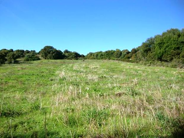 Grundst�ck auf Sardinien in Telti