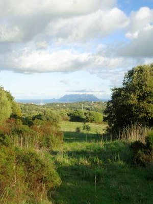 Grundst�cke in Telti Sardinien