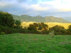 Baugrundst�ck f�r ein Ferienhaus auf Sardinien