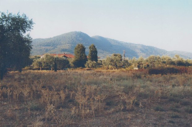 Baugrundstck bei Potamia auf Thassos Griechenland