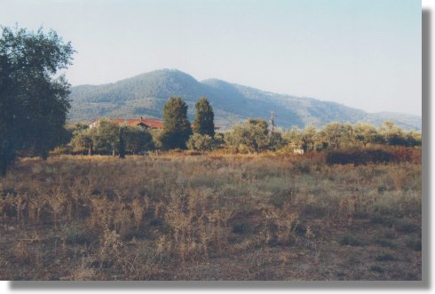 Thassos Grundstck in Griechenland zum Kaufen