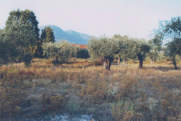 Bauland Grundstck auf Thassos bei Potamia