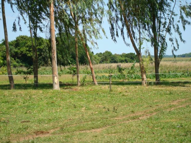 Farm bei Coronel Oviedo Paraguay