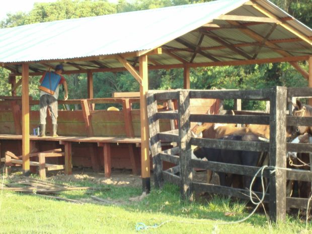Ranch im Caaguazu Paraguay