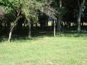 Farm im Caaguazu Paraguay