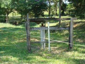 Weide der farm in Paraguay