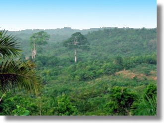Farmland in Ghana bei Nsawam