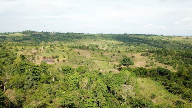 Farm Grundst�ck Eastern Region in Ghana zum Kaufen