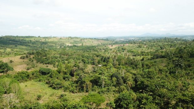 Farm in Ghana Eastern Region zum Kaufen