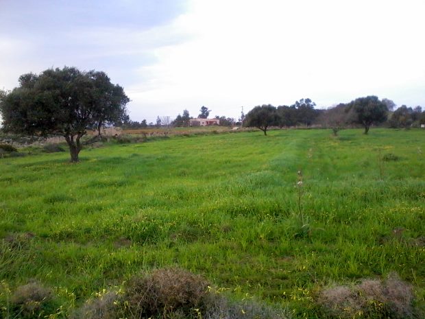 Antimachia Baugrundstck am Flughafen von Kos