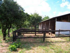 Pferdestall auf dem Grundstück des Wohnhauses Pferdestall auf dem Grundstück des Wohnhauses