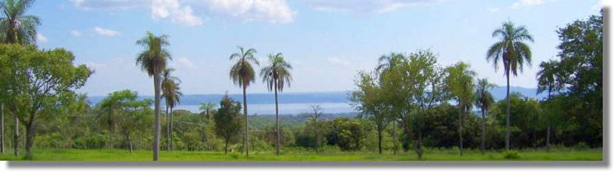 Grundstcke in Paraguay zum Kaufen