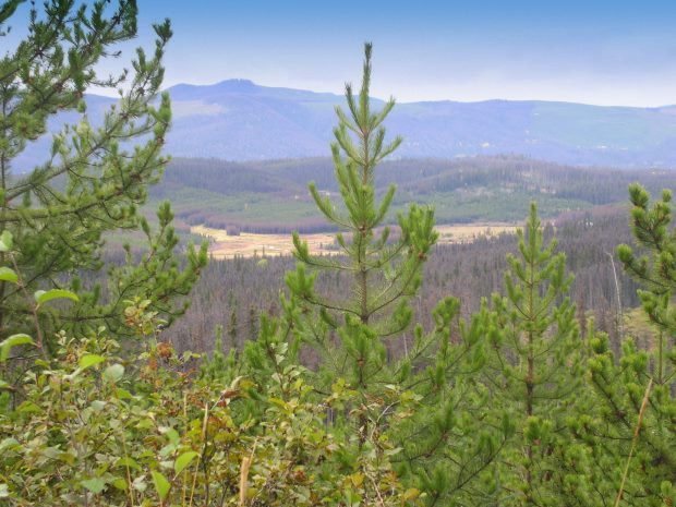 Farm bei Fraser Lake Kanada Farm bei Fraser Lake Kanada