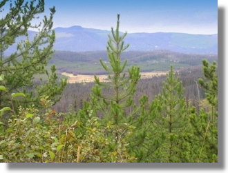 Grundstck Ranch in British Columbia bei Fraser Lake