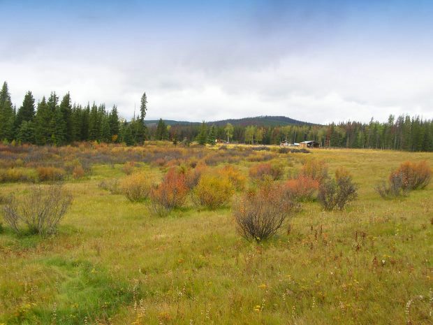 Farm in Ontario Kanada Farm in Ontario Kanada