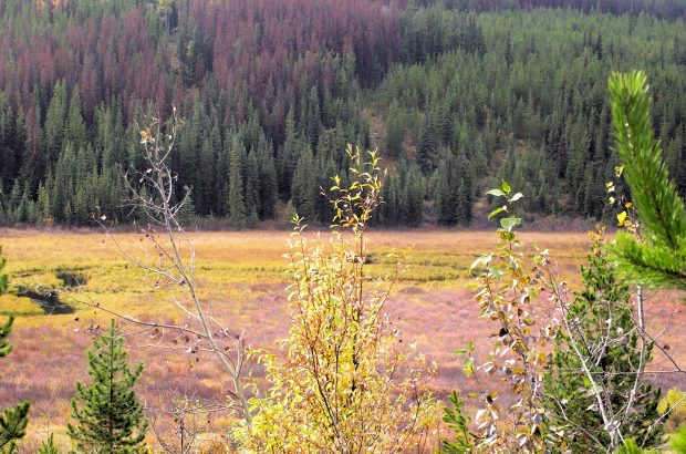 Farmland bei Fraser Lake Kanada Farmland bei Fraser Lake Kanada