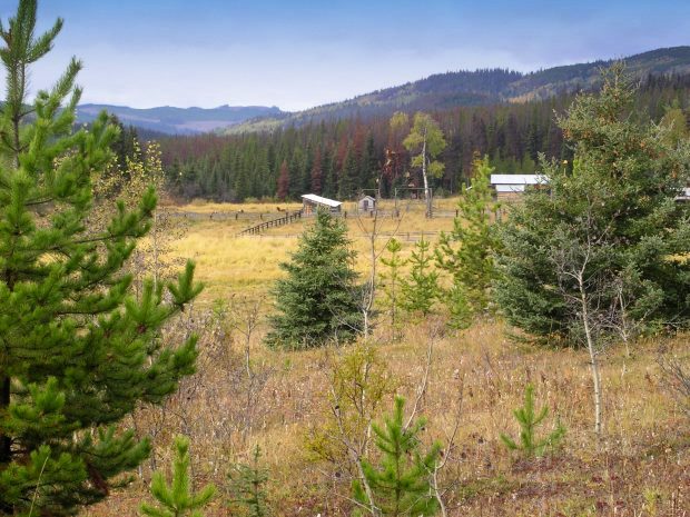 Bitish Columbia Farmland in Kanada Bitish Columbia Farmland in Kanada