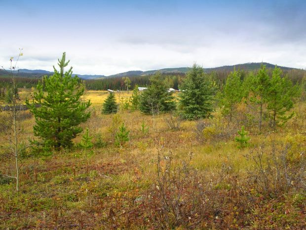 Farm Grundstück British Columbia Kanada Farm Grundstück British Columbia Kanada