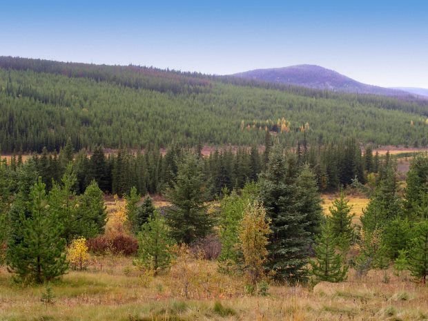 Farmland in Kanada Farmland in Kanada