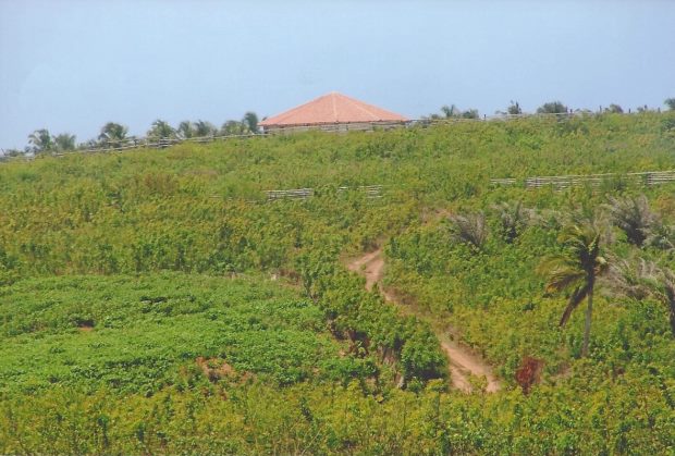 Baugrundstck nah am Meer von Ghana