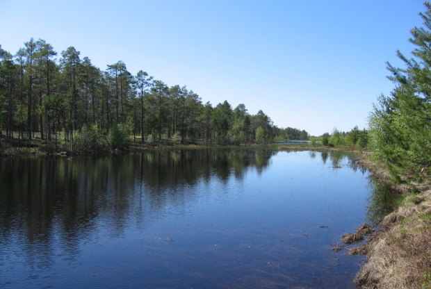 Grundst�ck am finischen See Pitk�j�rvi