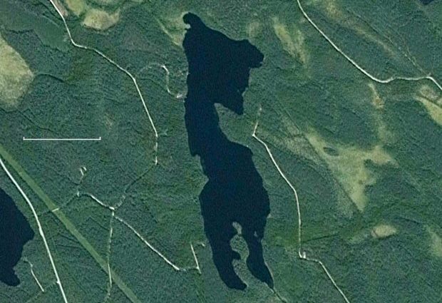 Seegrundstück am Pitkäjärvi bei Multia Finnland Seegrundstück am Pitkäjärvi bei Multia Finnland