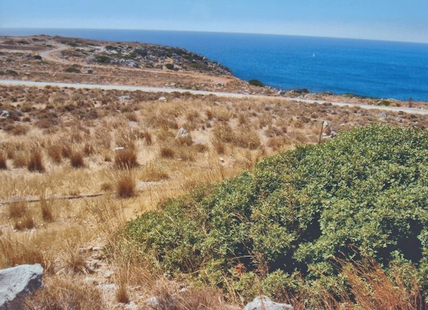 Grundstck nah dem Meer von Rhodos