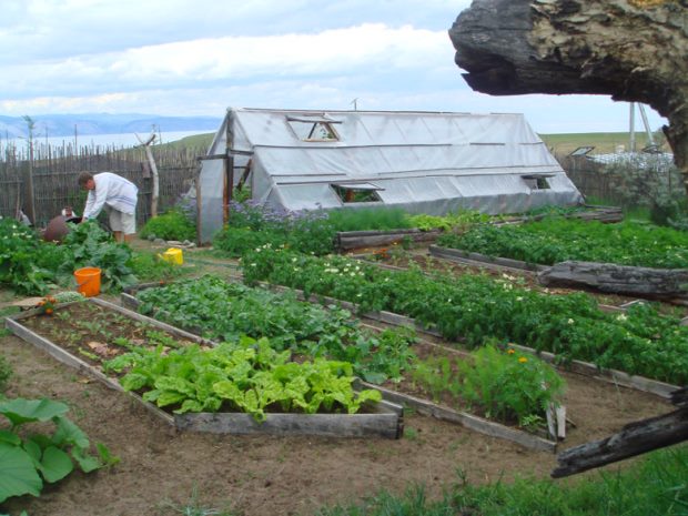 Garten vom Einfamilienhaus