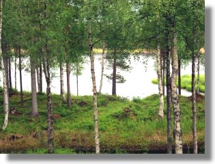 Einfamilienhaus am Fluss in Lappland