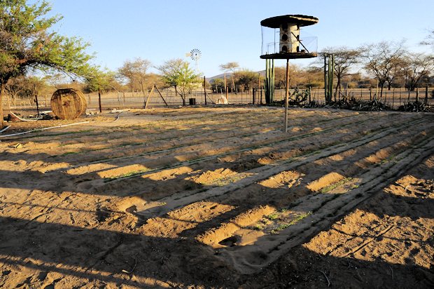 Garten am Farmhaus der Farm im Erongo Namibia
