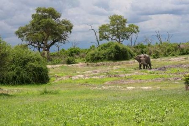 Wildfarm Ranch Farmland in Botswana