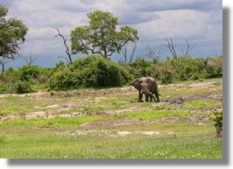 Farm Ranch in Botswana bei Makalamabedi