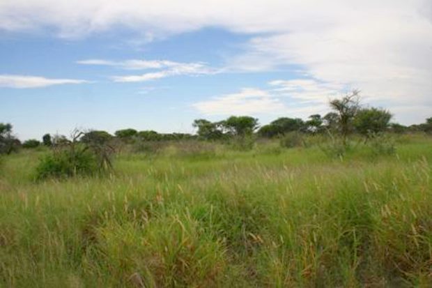 Botswana groes Grundstck mit Farm
