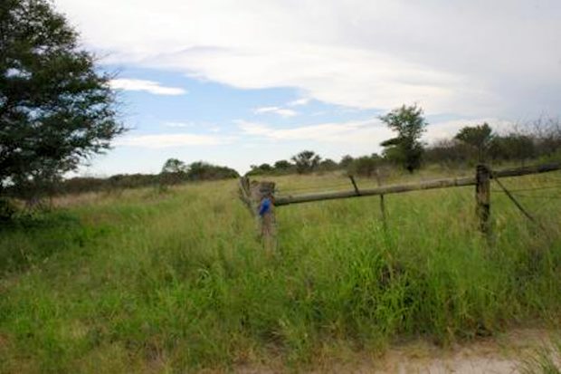 Farm Ranch bei Makalamabedi
