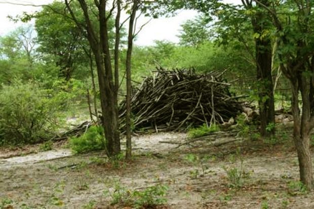 Farmland Farm in Botswana