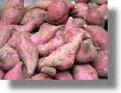 Landwirtschaft für Süßkartoffeln in Nigeria Landwirtschaft für Süßkartoffeln in Nigeria