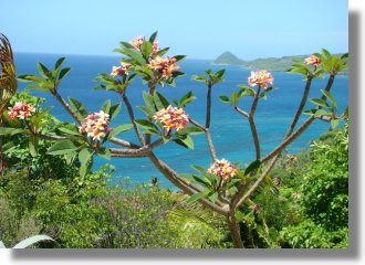Ausblick der Ferienanlage am Meer auf Grenada
