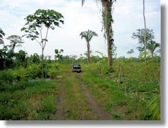 Farm in Ecuador Farmland der Provinz Orellana