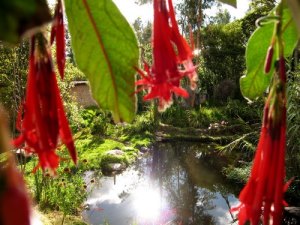 Garten vom kleinen Hotel in Urubamba Peru