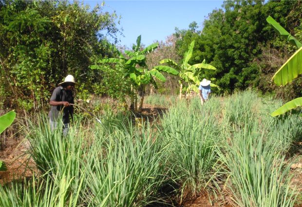 Baugrundstück in Kenia Baugrundstück in Kenia