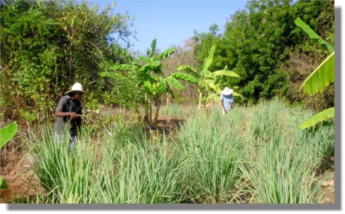 Grundstck unweit vom Meer in Galu Beach Kenia