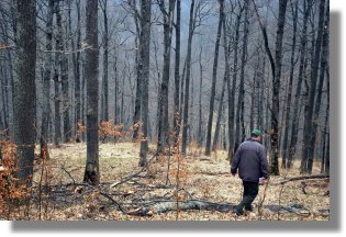 Waldgrundstück bei Brasov Rumänien Waldgrundstück bei Brasov Rumänien