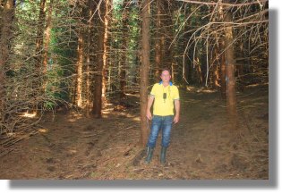 Waldgrundstück Brasov Siebenbürgen Rumänien Waldgrundstück Brasov Siebenbürgen Rumänien