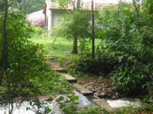 Bach auf dem grundstck der Huser
