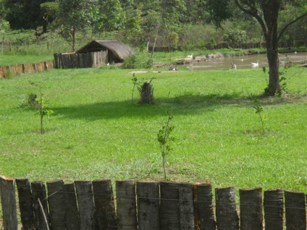 Ententeich auf dem Grundstck vom Einfamilienhaus