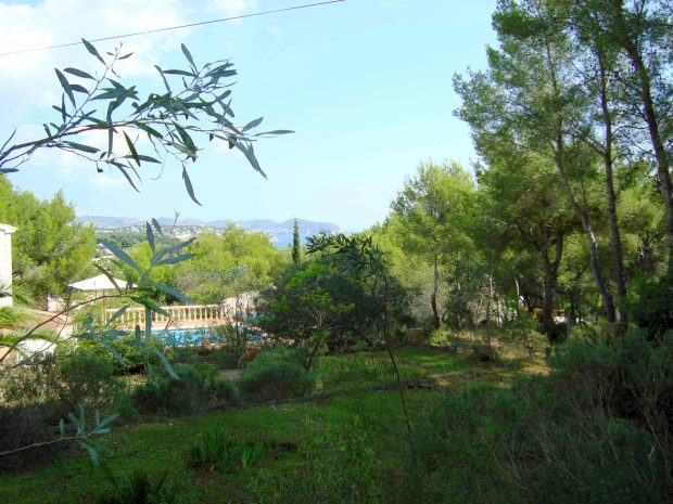 Garten Grundstck der Villa